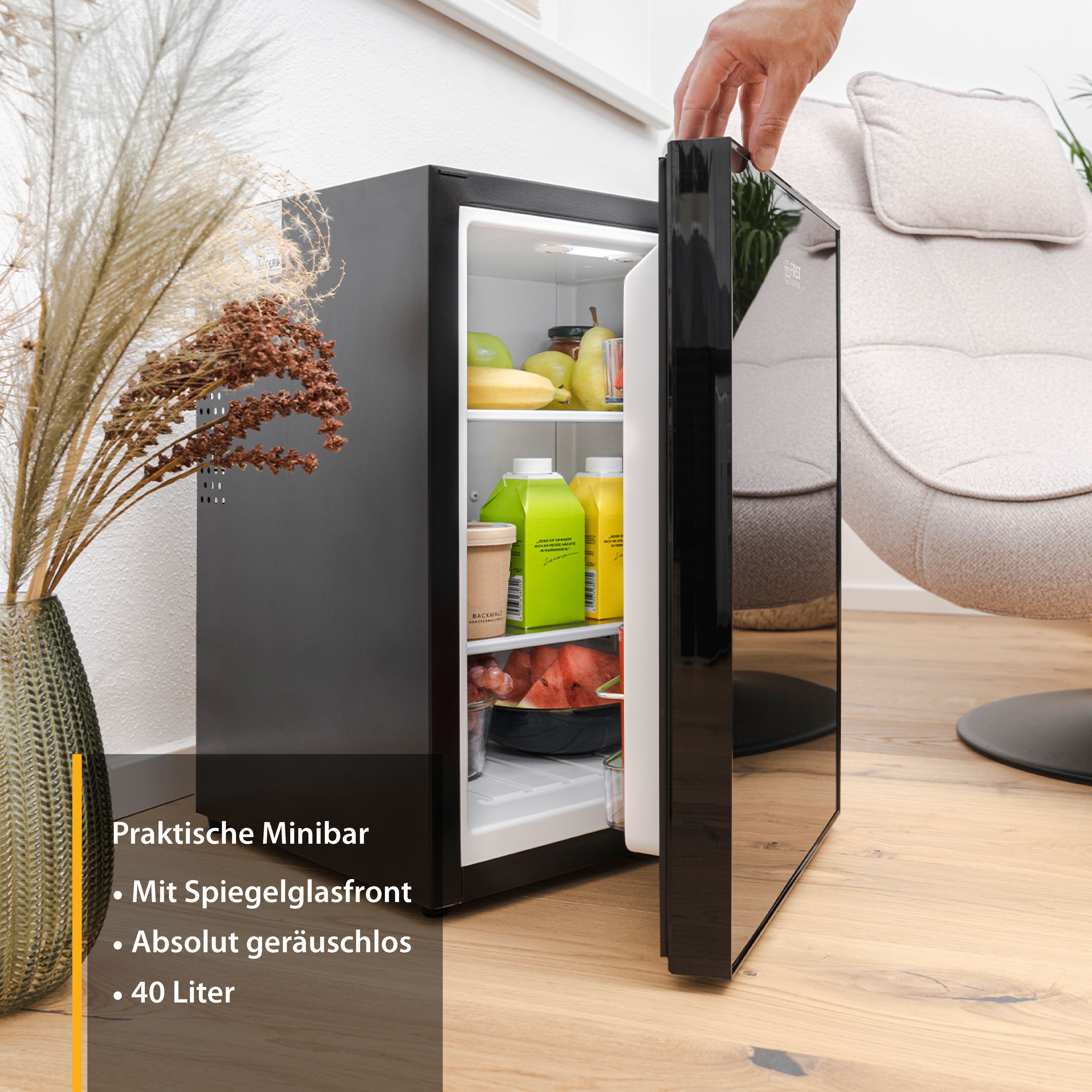 Mini fridge 30L or 40L | matt or glass front